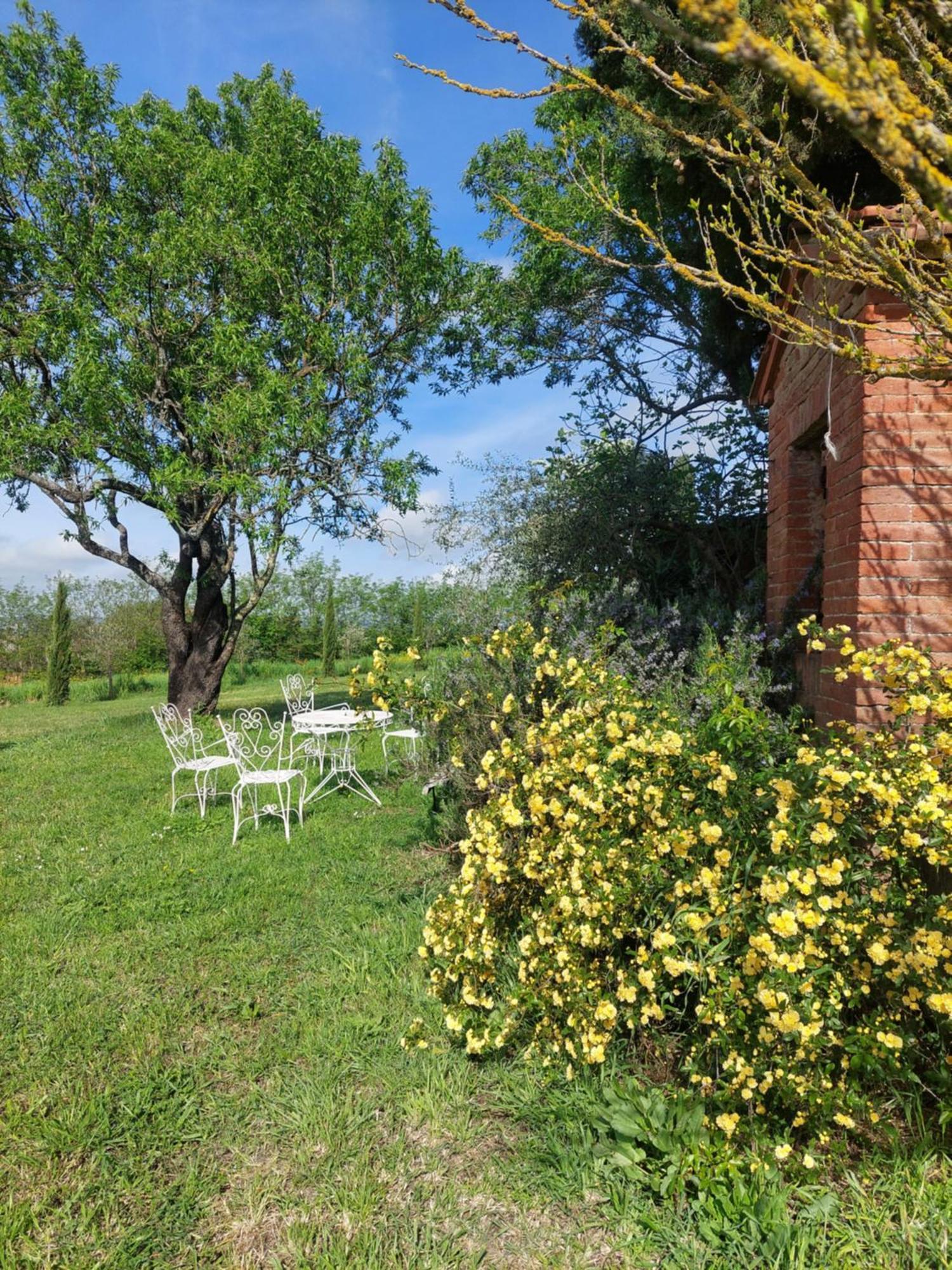 Casa Ezio Marchi - Due Appartamenti E Una Family Suite Bettolle Exteriör bild