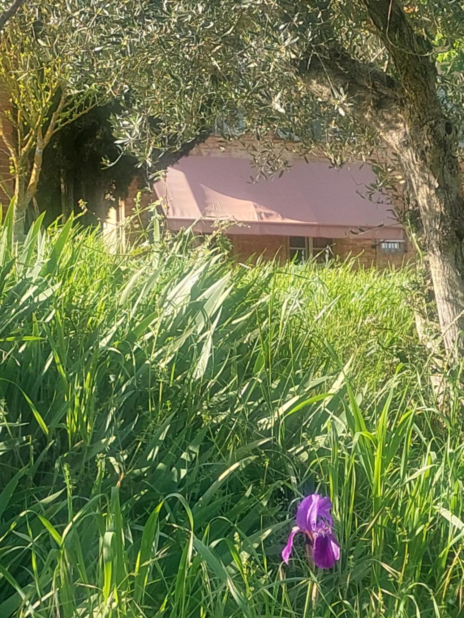 Casa Ezio Marchi - Due Appartamenti E Una Family Suite Bettolle Exteriör bild